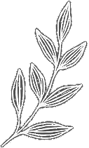 flower-left